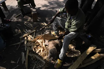 DSC_2927 (Large).JPG